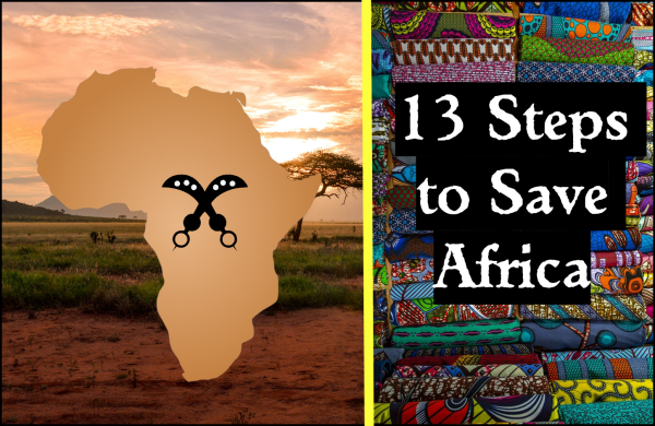 13 steps to save Africa